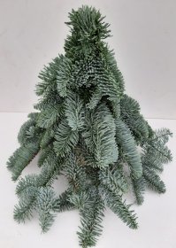 Kėnio šakų eglutė, aukštis 30 cm.