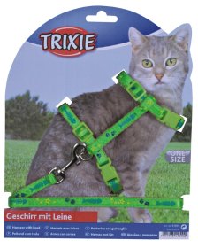 Komplektas katei, nailoninis su petnešom,22-36 cm/10mm, 1,20m