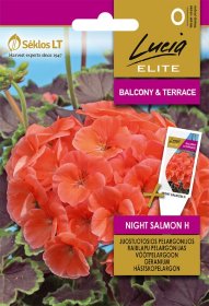 Gėlių sėklos, LUCIA ELITE ELN pelargonijos juostuotosios NIGHT SALMON H, 7 s., O