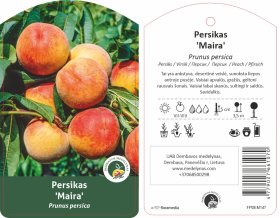 Vaismedis, persikas "Maira"