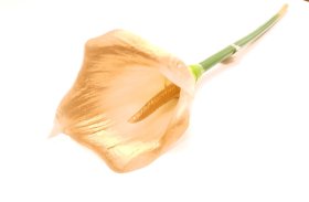 Dirbtinė gėlė kalija NOVELLY HOME GFN-078B, baltos sp., aukštis - 66 cm