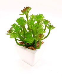 Dirbtinis sukulentas NOVELLY HOME Am-0003, keraminiame vazonėlyje