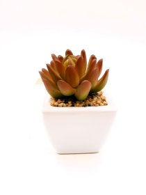 Dirbtinis sukulentas NOVELLY HOME Am-0024, keraminiame vazonėlyje