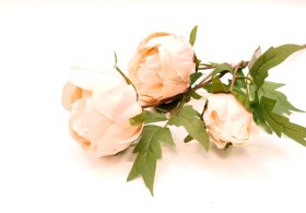 Dirbtinė gėlė bijūnas NOVELLY HOME, baltos sp., 55 cm