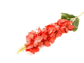 Dirbtinė gėlė kardelis NOVELLY HOME DY1-1735B, tamsiai raudonos sp., 91 cm