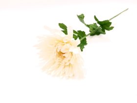 Dirbtinė gėlė chrizantema NOVELLY HOME GF13409, batos sp., 70cm