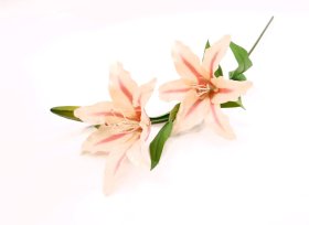 Dirbtinė gėlė lelija NOVELLY HOME DY1-107B, šv. rožinės sp., 76 cm,