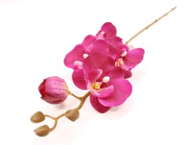 Dirbtinė gėlė orchidėja NOVELLY HOME DY4-5B, violetinės sp., 69 cm