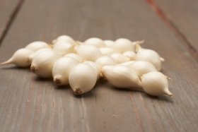 Valgomųjų svogūnų sodinukai Snowball, ASEJA, 14/21 mm, 0,25 kg