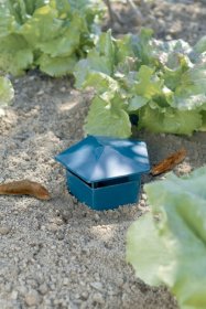 Spąstai šliužams ir sraigėms, 1 vnt.