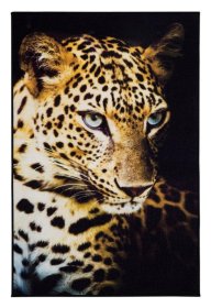 Kilimas DIGITAL Leopard, 100 x 150 cm, 282612