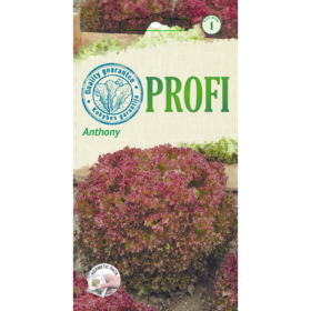 Daržovių sėklos, sėjamosios salotos Anthony, 20 s., 9080, I