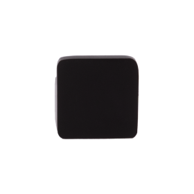 Kabliukas dušo kabinai BRASTA GLASS, gręžiamas  į sieną, juodos spalvos, 5263666