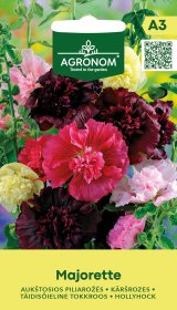 Gėlių sėklos, AGRONOM piliarožės aukštosios MAJORETTE, 0,5 g.