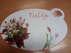 Plastikiniai padėkliukai Pa006, 43 x 28 cm