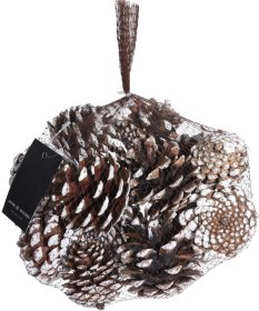 Kankorėžių rinkinys, vidutinis dydis 8 cm