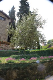 Plastikinis tinklas NORTENE Square, akis 10 x 10 mm, aukštis 1 m, ilgis 5 m, žalios spalvos