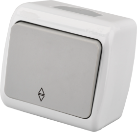 Perjungiklis ORRO A550190007, 1 klavišo, paviršinis, IP44, 10A 250V, pilkos spalvos, E8005-31