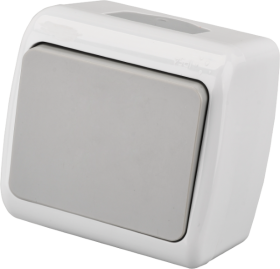 Jungiklis ORRO A550190003, 1 klavišo, paviršinis, IP44, 10A 250V, pilkos spalvos, E8005-01