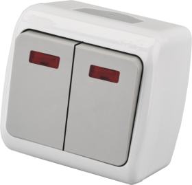 Jungiklis ORRO A550190006, 2 klavišų, paviršinis, su LED indikatoriumi, IP44, 10A 250V, pilkos spalvos, E8005-02N