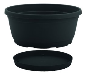 Plastikinis dubuo Nicoli Rumba, su lėkštele, 18 x 9 cm., tamsiai pilkas