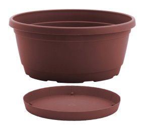 Plastikinis dubuo, Nicoli Rumba su lėkštele, 20 x 9,5 cm., rudas