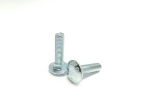 Varžtai su fiks. PROFIX, DIN603, M6 x 30 mm, cinkuoti, 15 vnt.