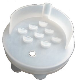 Dangtelis konservanto nupylimui