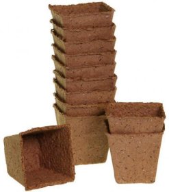 Kvadratiniai puodeliai daigams DJ3002309210, 8 x 8 cm., 10 vnt.