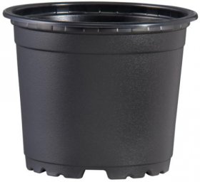 Vazonėlis daigams, GPVTAA1110, 11 cm., aukštis 8,4 cm., 10 vnt.