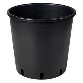 Vazonas sodinukams Vivaio Alto, juodas, 16x16cm. 3l