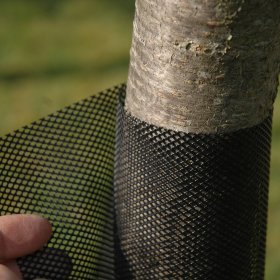 Apsauga medeliams FLEXGUARD, aukštis 110 cm, skersmuo 11 cm, juodos sp, 6 vnt pakuotėje