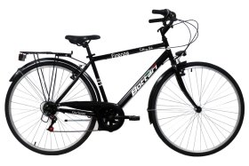 Dviratis FIRENZE, vyriškas, miesto, 28 dydis, Shimano TY21+RS35, 18 bėgių