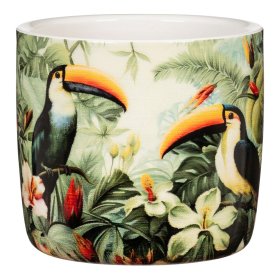 Kambarinis keraminis vazonas SCHEURICH Tucano (900/13), su paukščių motyvais, vazono skersmuo 13 cm.