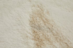 Kilimas Loano, 120 x 170 cm, 100 % poliesteris, smėlio spalvos, 700237