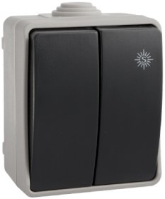 Jungiklis SOLERA 3313, 2 klavišų, paviršinis, IP54, korpusas pilkos sp., klavišas juodos sp.