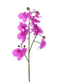 Dirbtinė gėlė orchidėja NOVELLY HOME GFQ-001, violetinės sp., aukštis - 58 cm