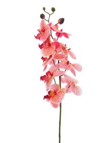 Dirbtinė gėlė orchidėja NOVELLY HOME FS-3343/BO/R, rožinės sp., aukštis - 89 cm