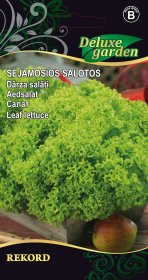 Daržovių sėklos, salotos sėjamosios Rekord, 1 g., 3577, B