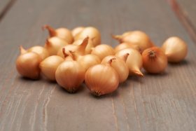 Valgomųjų svogūnų sodinukai Stuttgarter Riesen, ASEJA, 14/21 mm, 1 kg