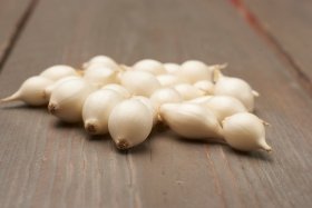 Valgomųjų svogūnų sodinukai Snowball, ASEJA, 14/21 mm, 0,5 kg