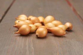 Valgomųjų svogūnų sodinukai Setton, ASEJA, 14/21 mm, 0,5 kg