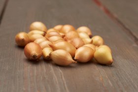 Valgomųjų svogūnų sodinukai Corrado F1, ASEJA, 14/21 mm, 1 kg