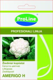 Daržovių sėklos, PROLINE žiediniai kopūstai Amerigo H, 15 s., D