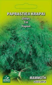 Prieskonių sėklos, krapai paprastieji Mammoth, 0278