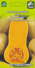 Daržovių sėklos, moliūgai muskusiniai Waltham Butternut, 9745