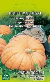 Daržovių sėklos, moliūgai did. Atlantic Giant, 9677