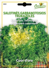Daržovių sėklos, ORTOVIVO salotinės trūkažolės Riccia cuor d‘oro, 5 g., C