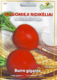 Daržovių sėklos, ORTOVIVO ridikėliai Burro gigante, 5 g., C