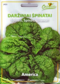 Daržovių sėklos, ORTOVIVO špinatai America, 7,5 g., C